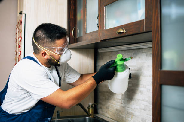 Best Best Pest Control Companies  in Columbus, MS